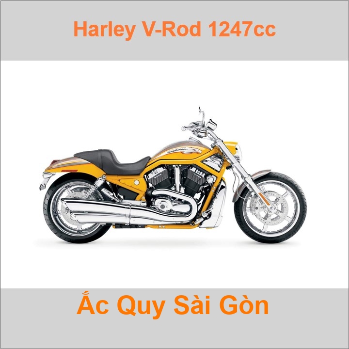 Bình acquy moto cho xe pkl Harley-Davidson V-Rod VRSC 1247cc (2005-2017) có công suất 18Ah, 20Ah (10h) với các mã bình ắc quy YTX20L-BS, YT20L-BS Bình