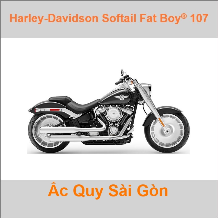 Bình acquy moto cho xe pkl Harley-Davidson Softail Fat Boy 107 FLFB có công suất 18Ah, 20Ah (10h) với các mã bình ắc quy như YTX20L-BS, YT20L-4 Bình ắc quy xe mô tô phân khối lớn Harley Davidson có kích thước Dài 17.5cm * Rộng 8.7cm * Cao 15.5cm battery chất lượng tốt nhất giá rẻ