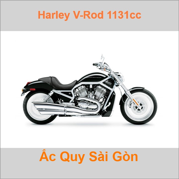 Ắc quy xe mô tô Harley Davidson V-Rod 1131cc VRSC (2001 - 2007)
