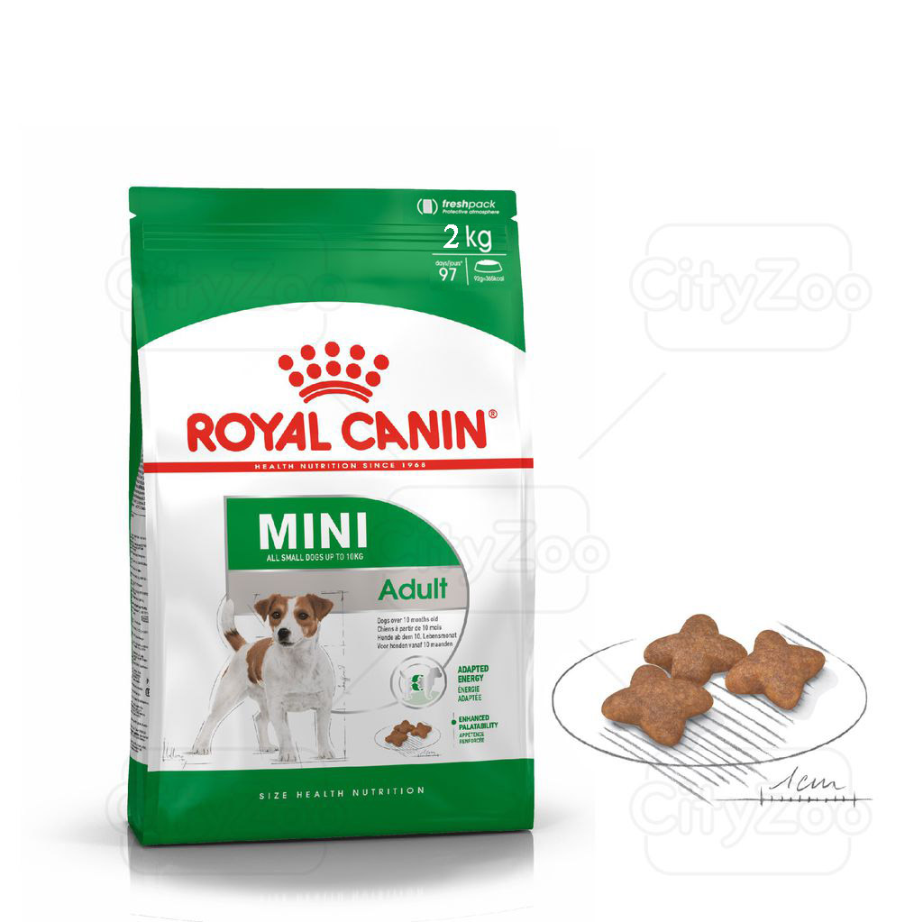 Royal canin mini adult - Thức ăn cho chó trưởng thành cỡ nhỏ 2kg