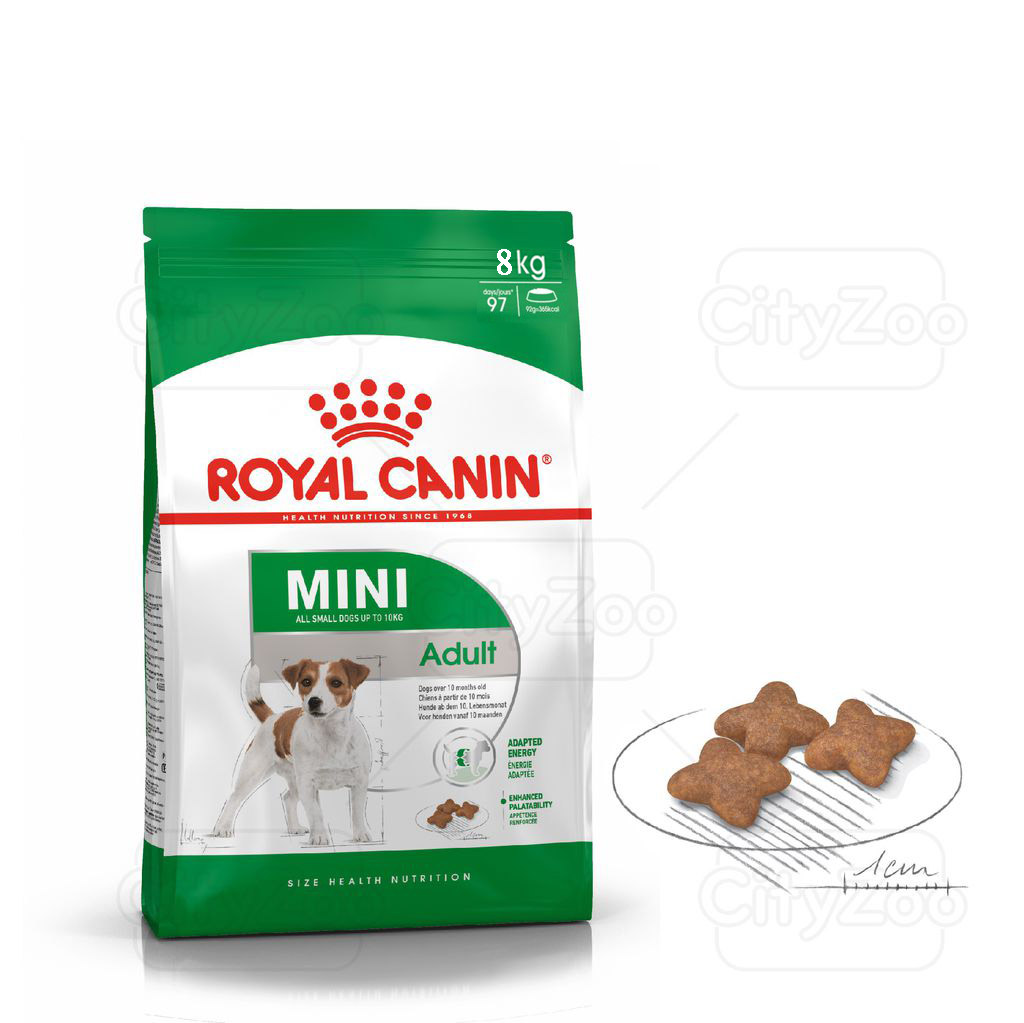 Royal canin mini adult - Thức ăn cho chó trưởng thành cỡ nhỏ 8kg