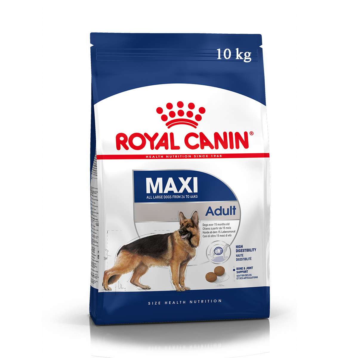 Royal canin maxi adult - Thức ăn cho chó trưởng thành cỡ lớn 10kg