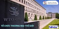 WTO LÀ GÌ? ĐẶC ĐIỂM CỦA WTO - CÂN ĐIỆN TỬ FUJIHATSU