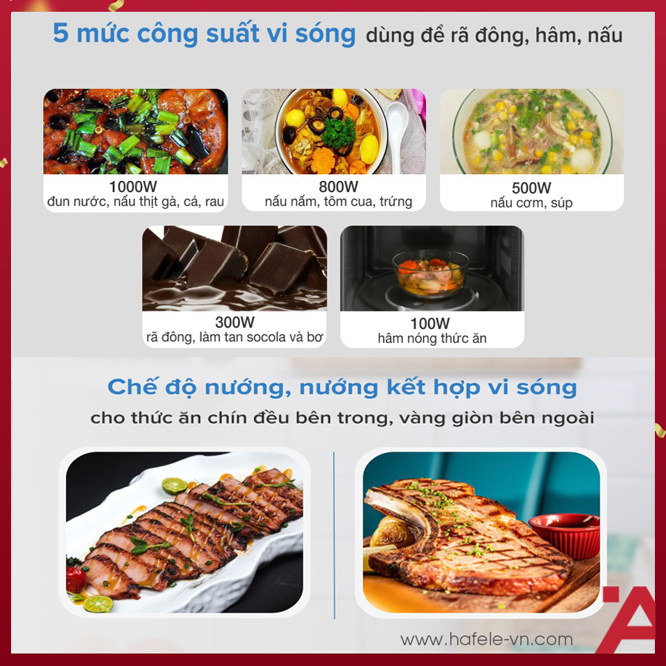 anh3-lo-vi-song-hafele-538-01-111