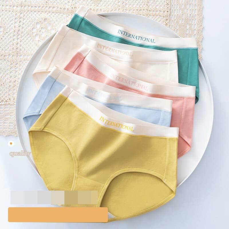 QL2167 - Combo 3 quần lót cotton nữ hàng nhập - giá 180k