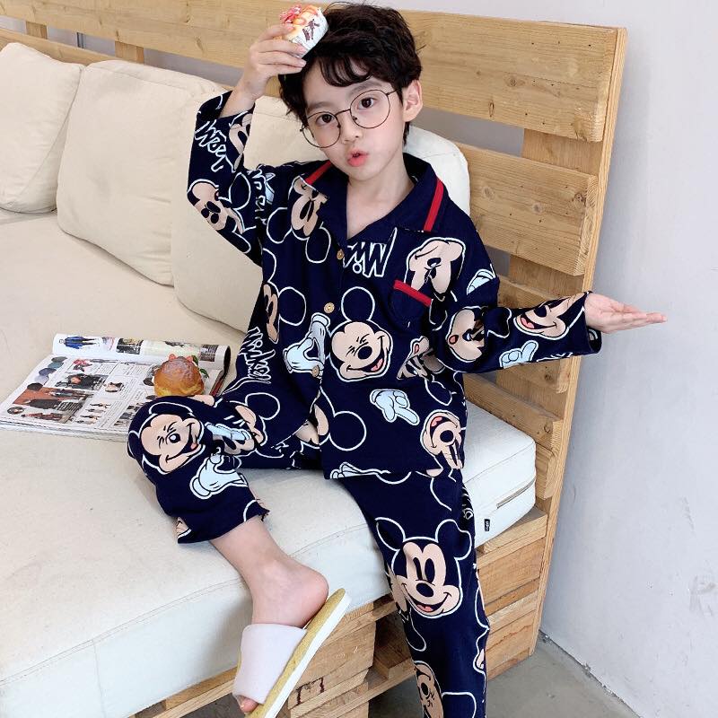 ST20238 - Bộ pyjama cotton bé trai mùa thu hàng nhập - giá 440k