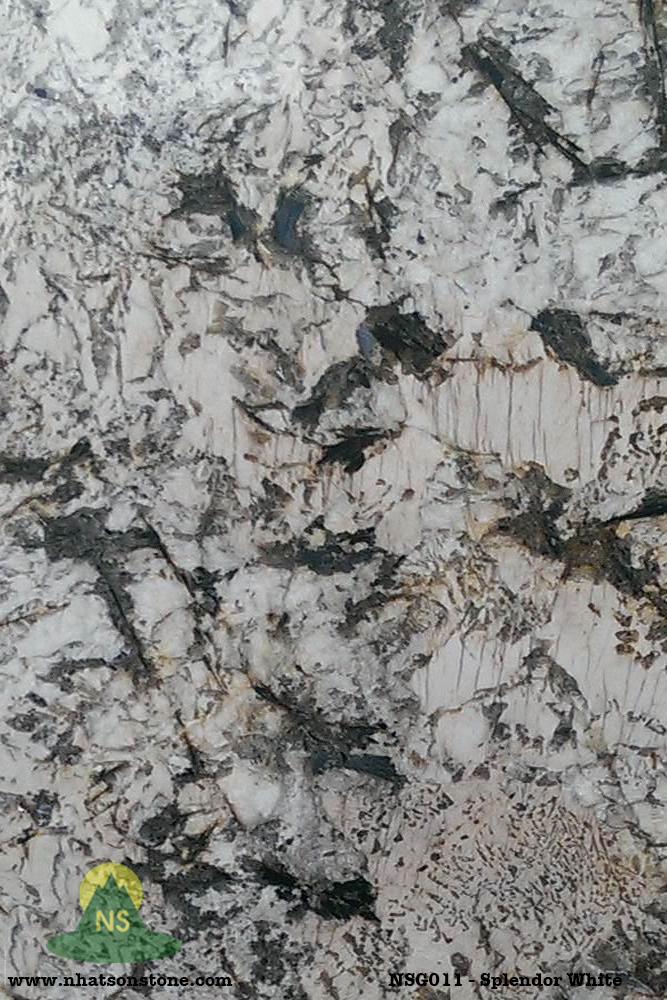 Đá Tự Nhiên Granite NSG011 - Splendor White