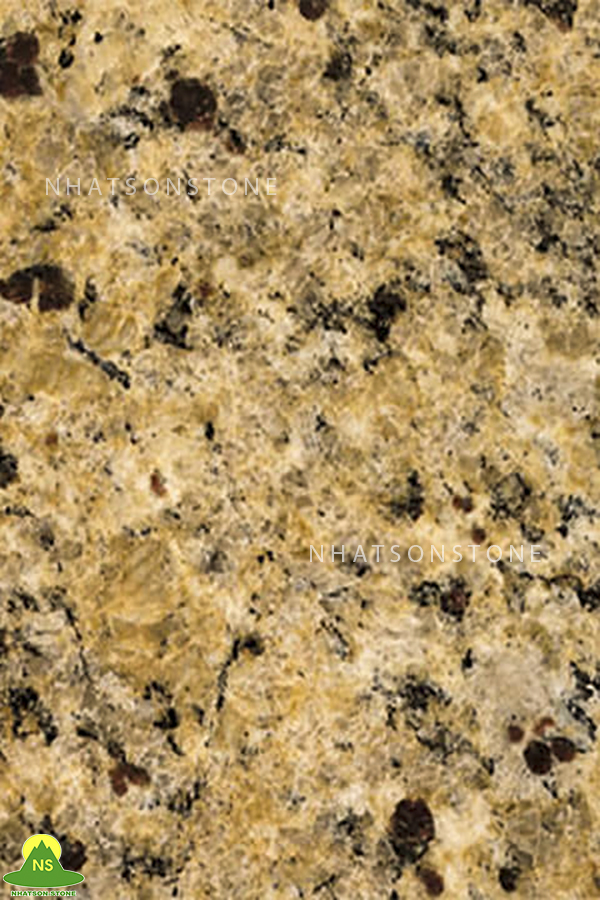 Đá Tự Nhiên Granite NSG081 - Vàng Splendor