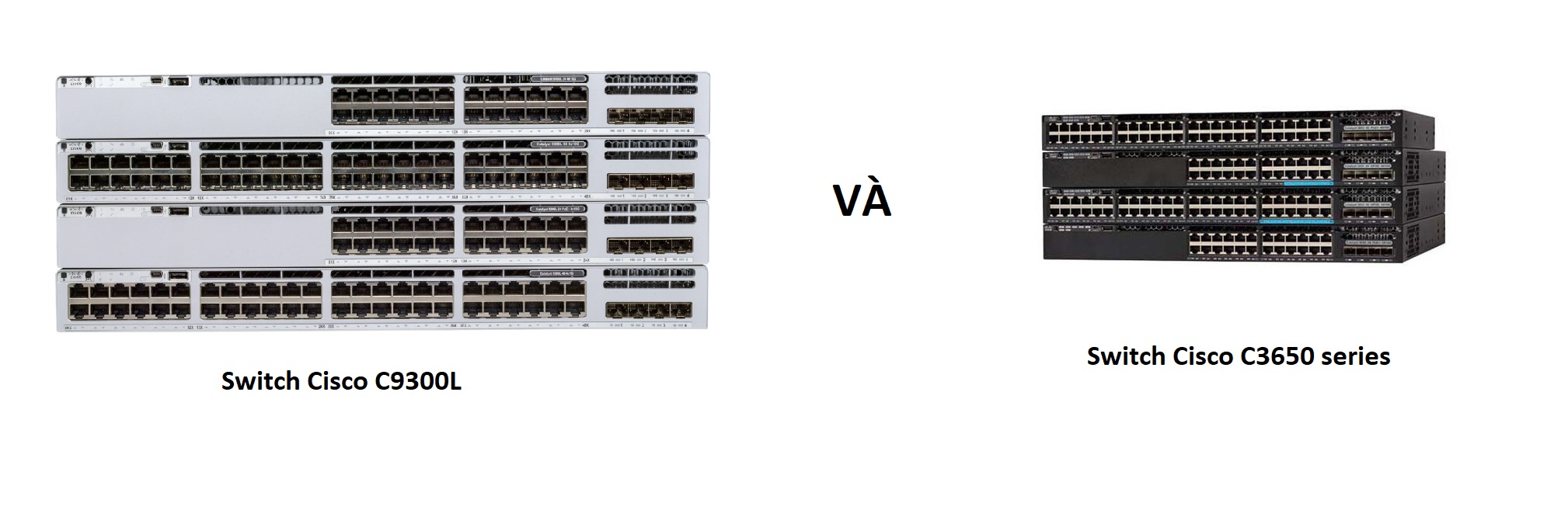 So sánh Switch Cisco C9300L với Switch Cisco C3650 series