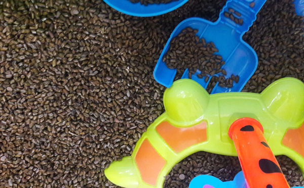 Xúc cát hạt muồng, trò chơi phát triển đa giác quan cho bé
