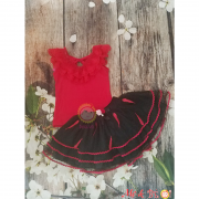 Set thiết kế áo đỏ váy xoè thêu lông vũ cho bé gái ( size nhỏ 1_3 )