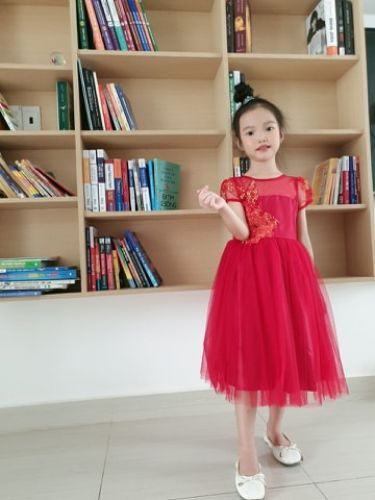Hai bé gái Huế mặc toàn váy công chúa được mẹ thiết kế xinh xỉu