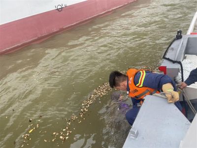 Xuyên đêm tìm kiếm nạn nhân vụ lật thuyền ở Quảng Ninh
