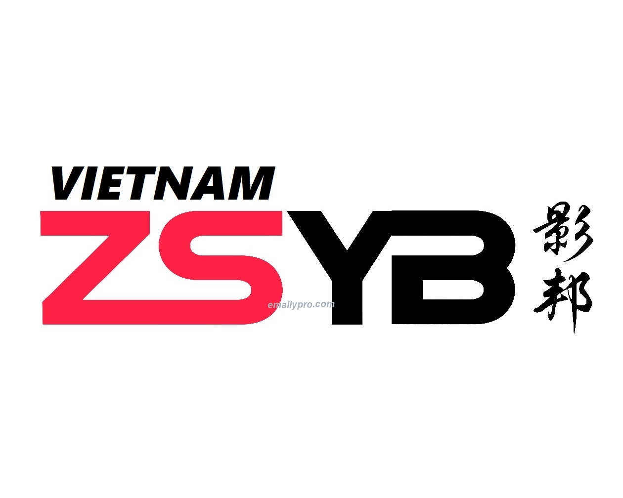 ZSYB Công bố Đại diện tại Viet Nam !!!