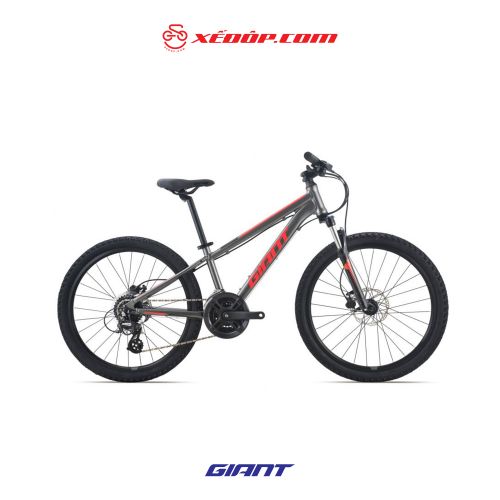 Xe đạp Giant 2022 XTC 24-D1