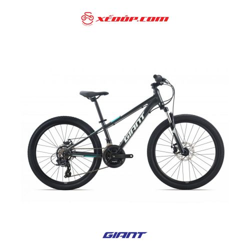 Xe đạp Giant 2022 XTC 24-D2