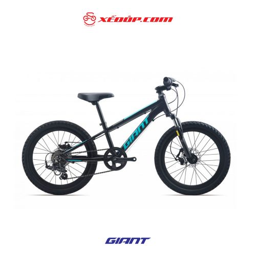 Xe đạp Giant 2022 XTC 20-D