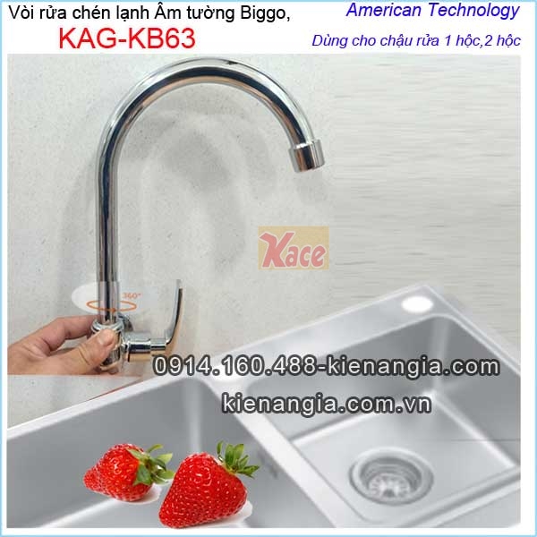 Vòi rửa chén lạnh gắn tường Biggo KAG-KB63