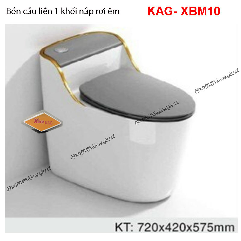 Bồn cầu 1 khối màu trắng đen viền vàng KAG-XBM10