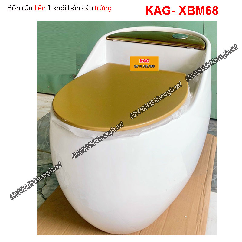 Bồn cầu trứng trắng nắp vàng KAG-XBM68