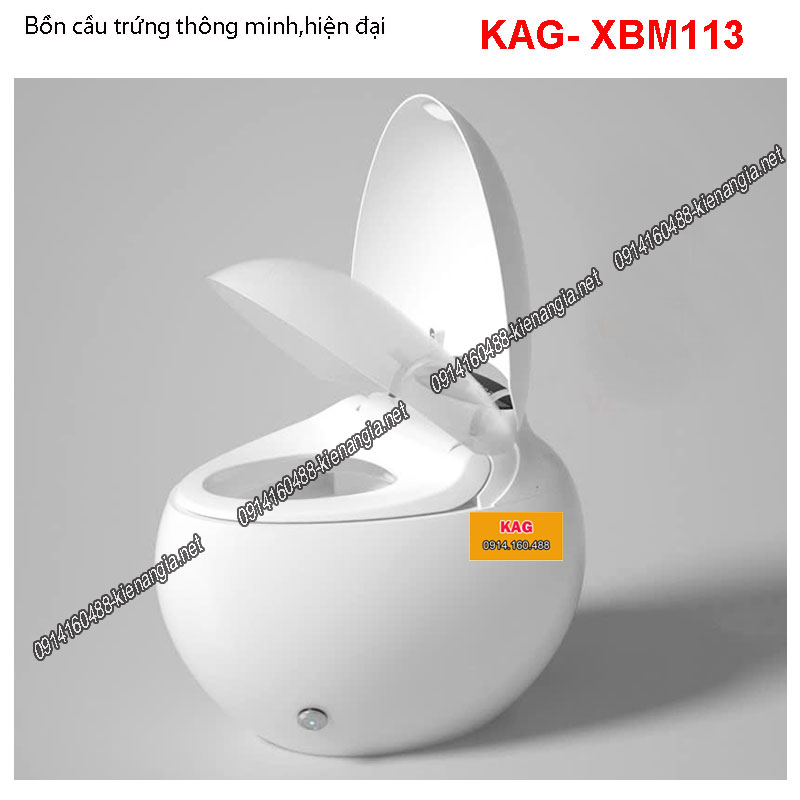 Bồn cầu trứng điện tử thông minh hiện đại KAG-XBM113