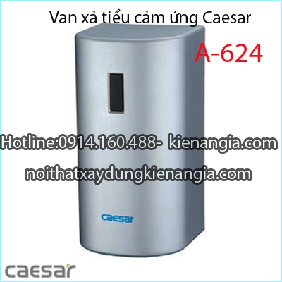 Van cảm ứng dùng điện bệ tiểu nam Caesar A624
