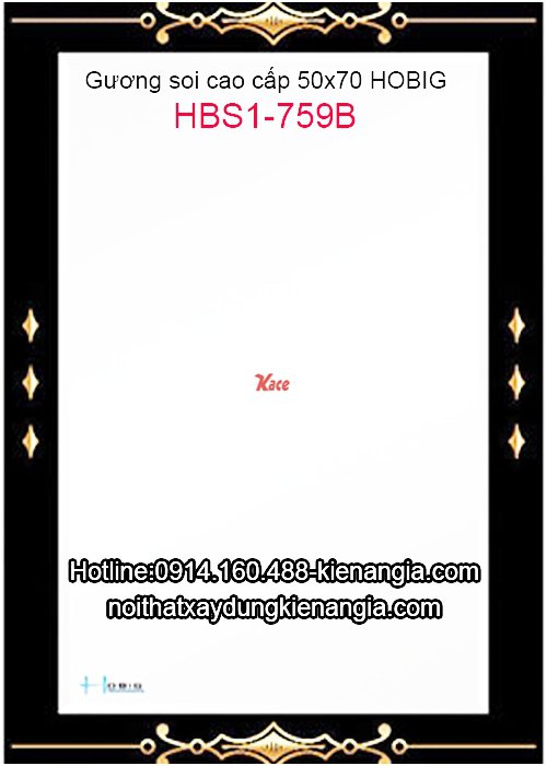 Gương hoa văn Hobig cao cấp 50x70 HBS1-759B