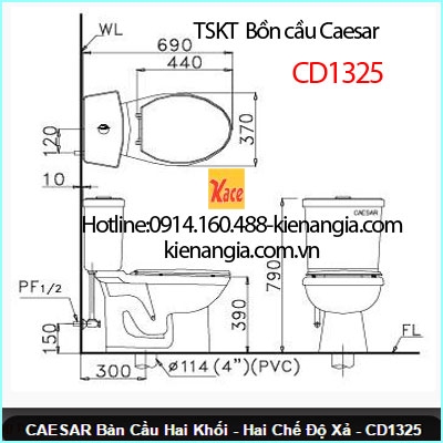 TSKT-CD135