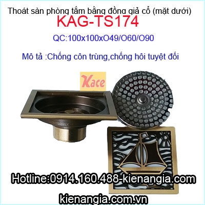 Thoat-san-chong-con-trungg-chong-hoi-tot-KAG-TS174-mat-duoi