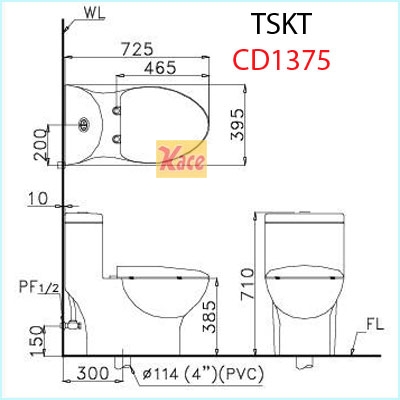 TSKT-bon-cau-1-khoi-Caesar-CD1375