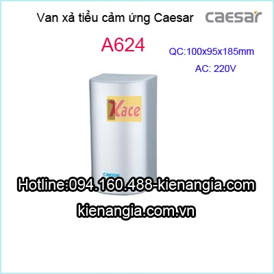 Van-xa-tieu-cam-ung-dung-dien-Caesar-A624