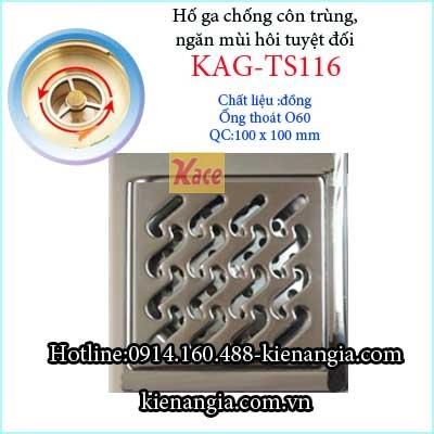 Ho-ga-chong-con-trung-100-D60-KAG-TS116