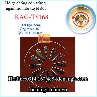 Ho-ga-chong-con-trung-100-D60-KAG-TS168
