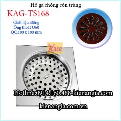 Ho-ga-chong-con-trung-100-D60-KAG-TS168-2