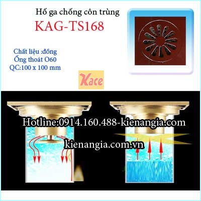 Ho-ga-chong-con-trung-100-D60-KAG-TS168-4