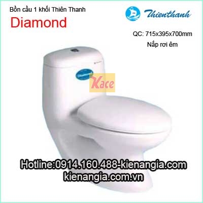 Bon-cau-1-khoi-Thien-Thanh-Diamond-1
