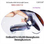 Vòi lavabo tự ngắt Caesar KAG-CAS112