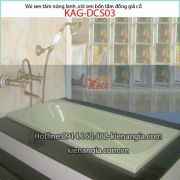 Vòi sen bồn tắm nóng lạnh đồng giả cổ KAG-DSC03