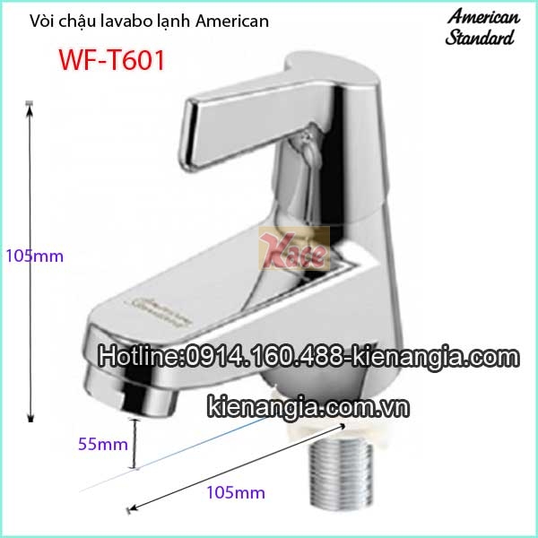Voi-chau-lavabo-lanh-American-standard-WF-T601-5