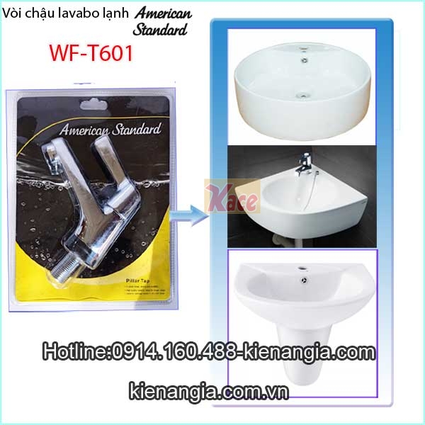 Voi-chau-lavabo-lanh-American-standard-WF-T601-6