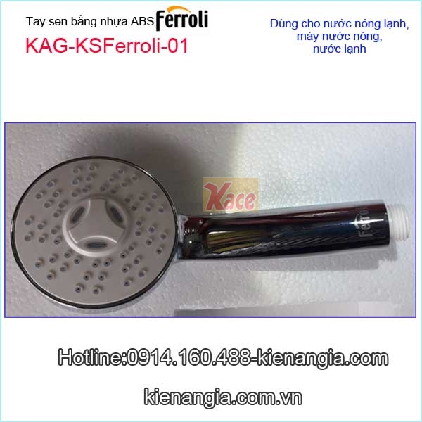 Tay-sen-nhua-Ferroli-KAG-KSFerroli-01-4