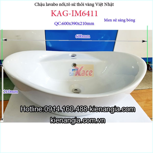 Chau-lavabo-noi-thoi-vang-Viet-Nhat-IM6411-TSKT