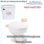 Bồn cầu cụt thùng nước treo tay gạt KAG-VinaTCG01