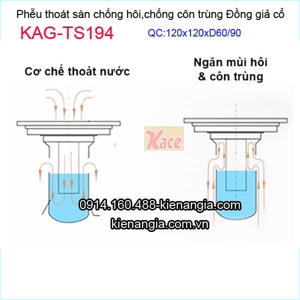 KAG-TS194-Pheu-thoat-san-dong-co-dien-chong-hoi-con-trung-120x120xD60-90-KAG-TS194-11