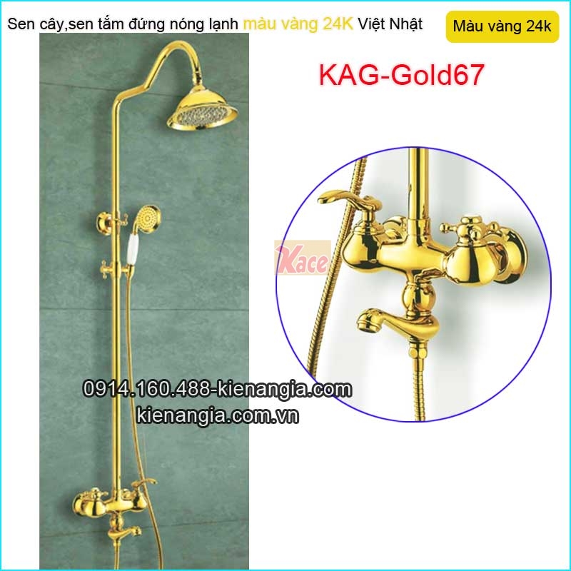 Sen phòng tắm kiếng,sen cây đồng màu vàng 24K KAG-Gold67