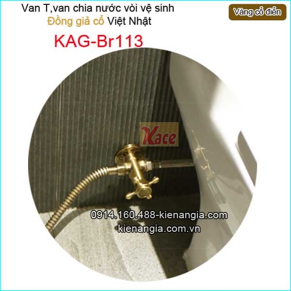 KAG-Br113-Van-T-van-chia-nuoc-voi-xit-ve-sinh-vang-dong-co-dien-KAG-Br113-1