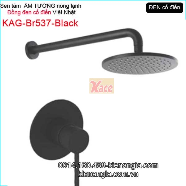 Sen tắm âm tường nóng lạnh đồng đen cổ điển  KAG-Br537-Black