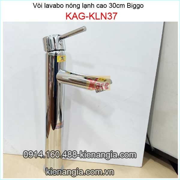 Vòi lavabo nóng lạnh Biggo cao 30cm ống trúc KAG-KLN37