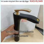 Vòi lavabo đen vàng 30cm nóng lạnh Biggo KAG-KLN49BM2023
