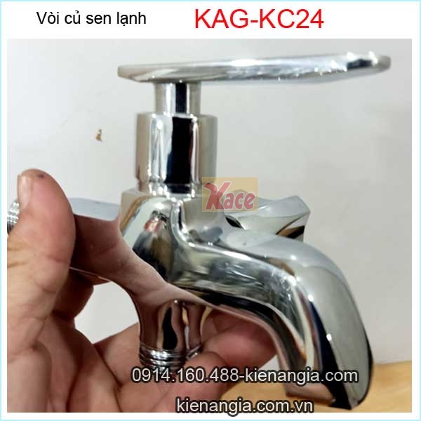 KAG-KC24-Voi-cu-sen-lanh-vuong-KAG-KC24